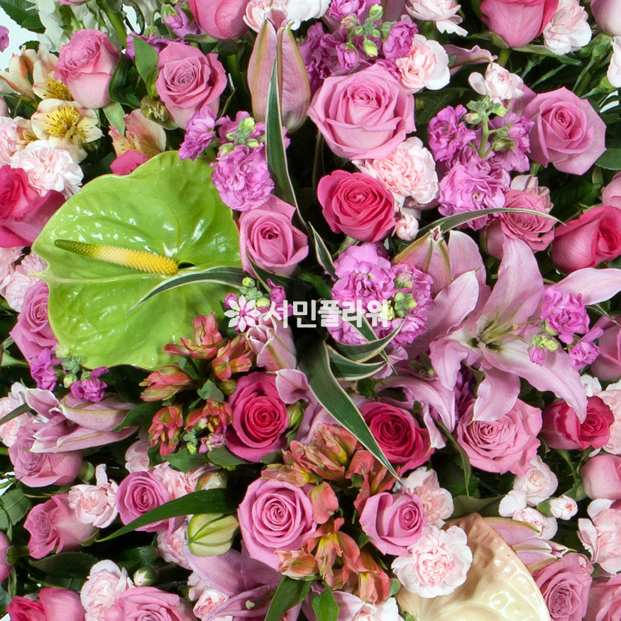 상세이미지