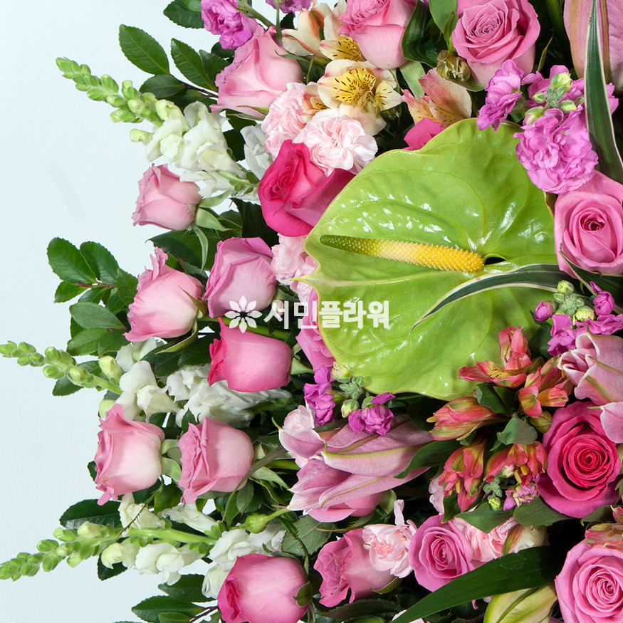 상세이미지