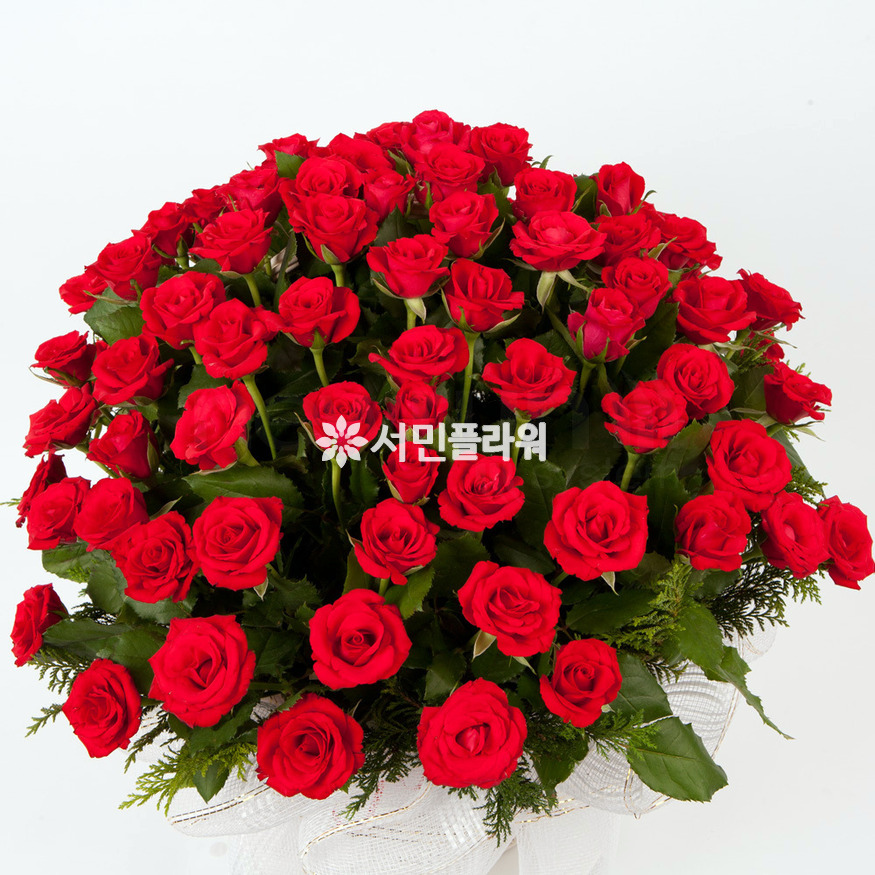 상세이미지