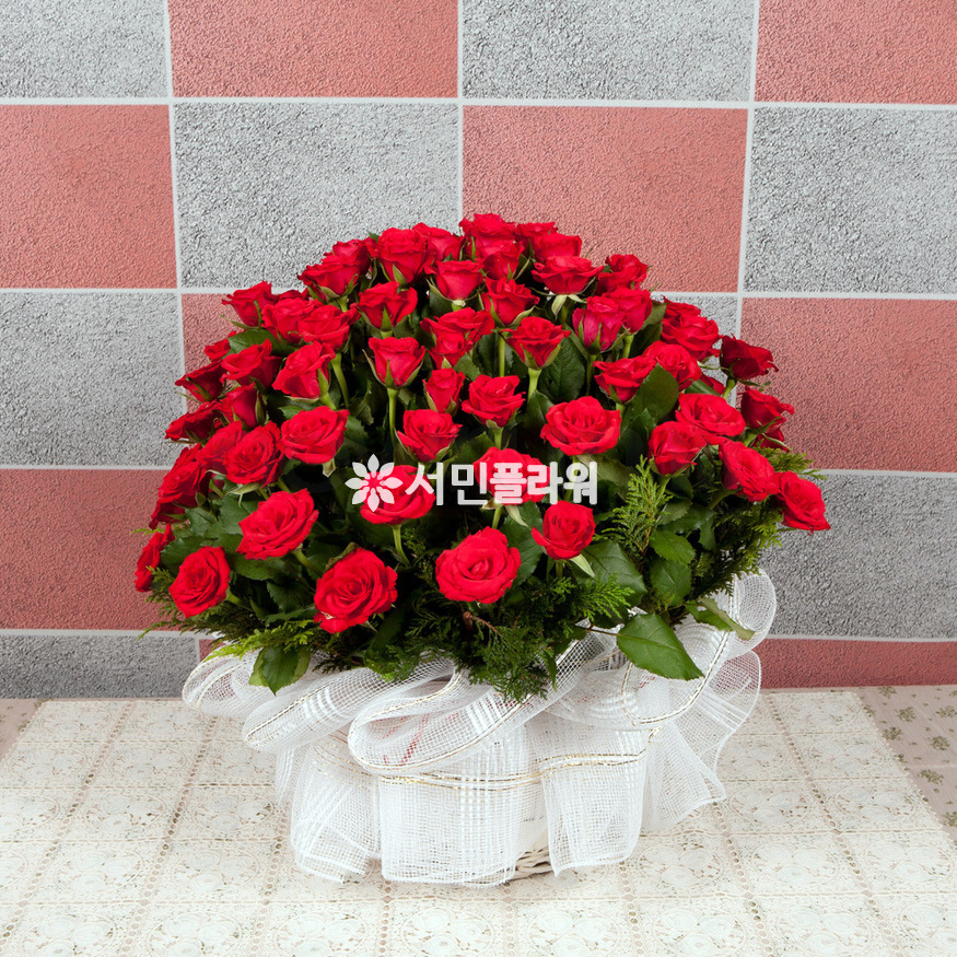 상세이미지