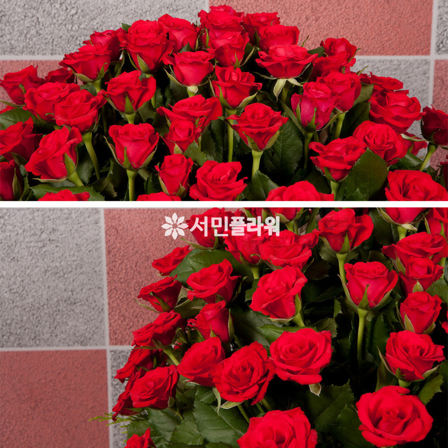 상세이미지