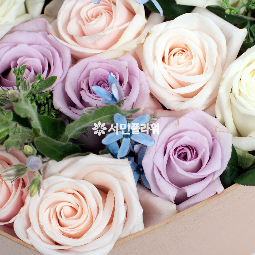 상세이미지