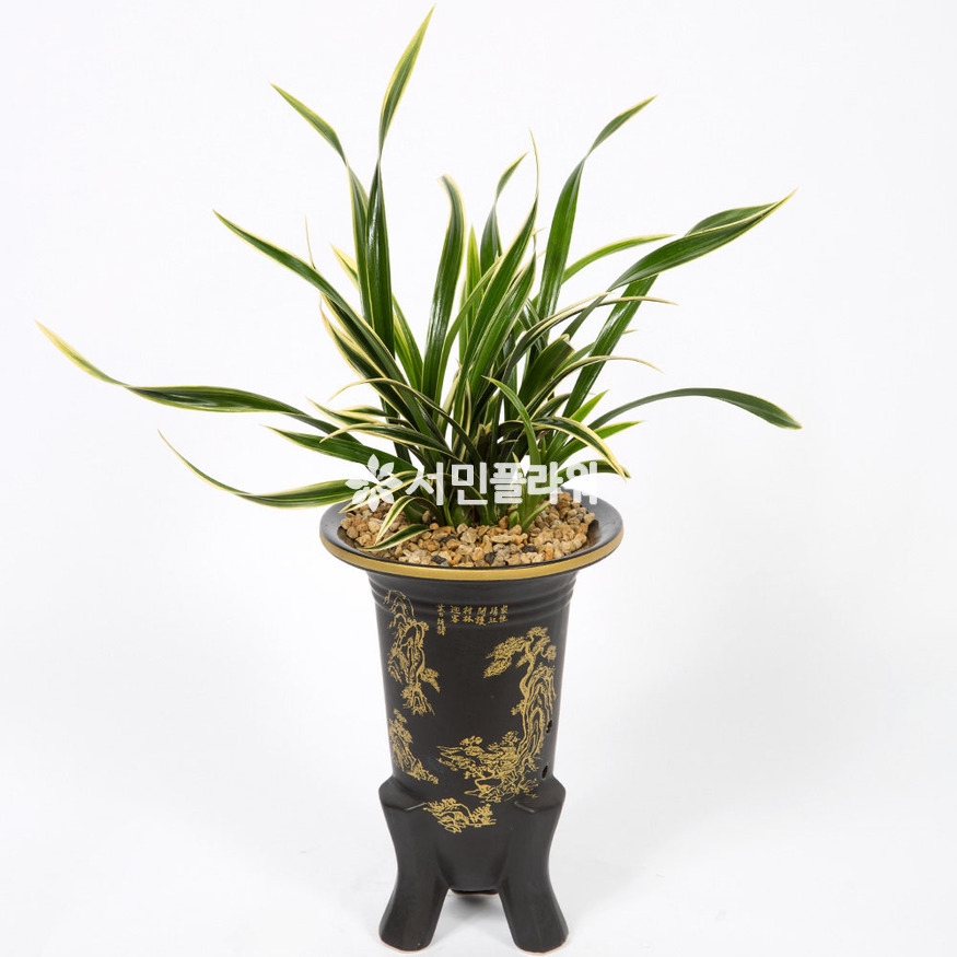 상세이미지