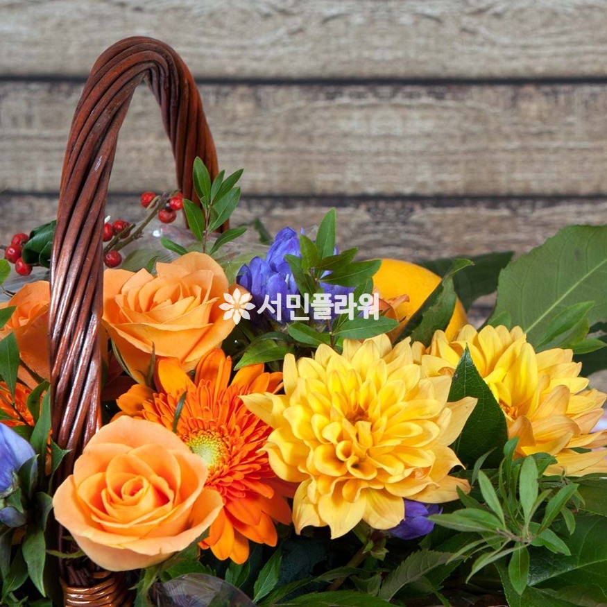 상세이미지