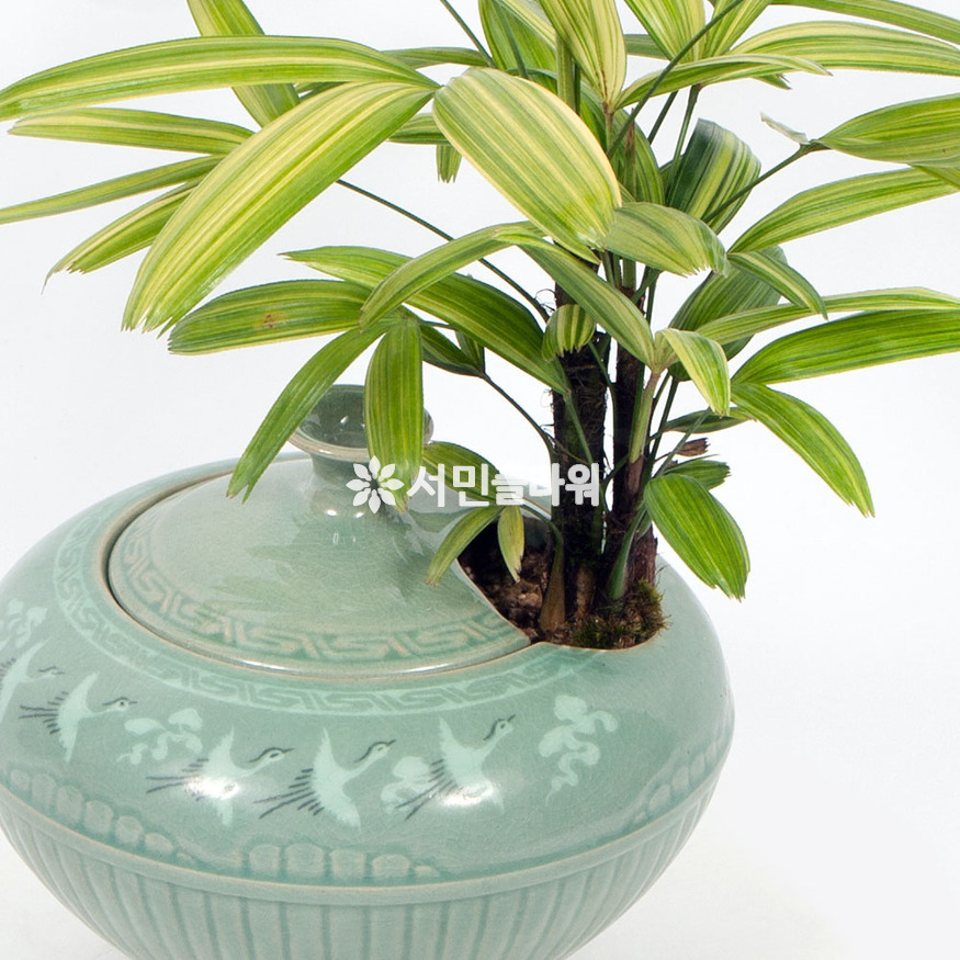 상세이미지
