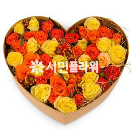 하트상자 81c