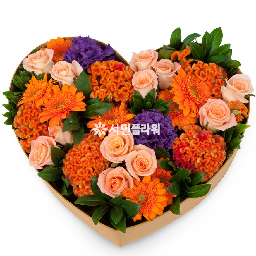 상세이미지