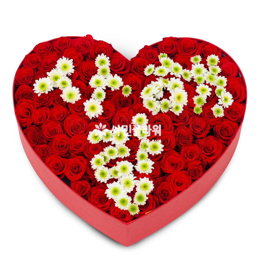 상세이미지