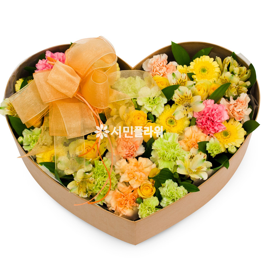 상세이미지