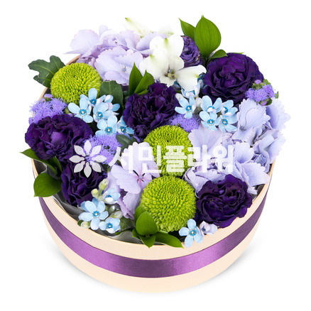꽃상자 c790