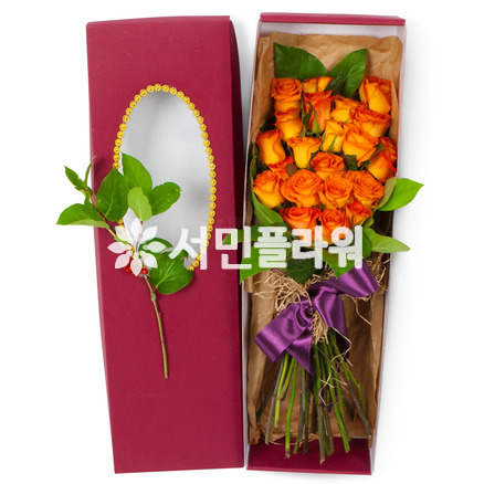 보금자리가되어줄께요
