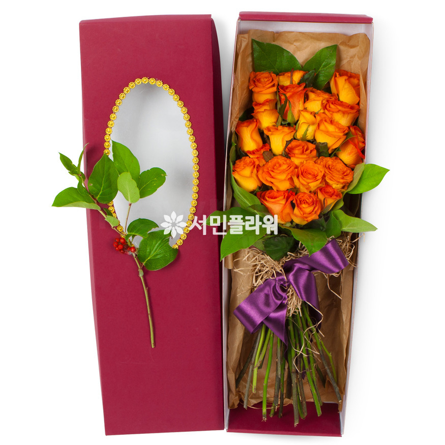상세이미지