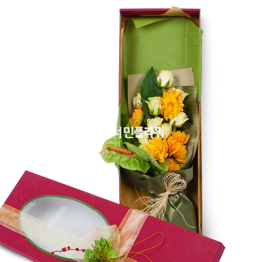 상세이미지