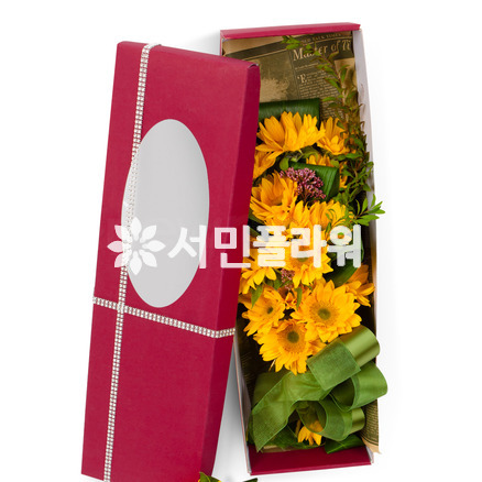 해바라기꽃상자