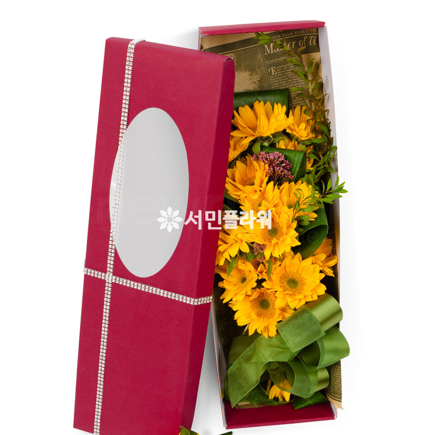 상세이미지