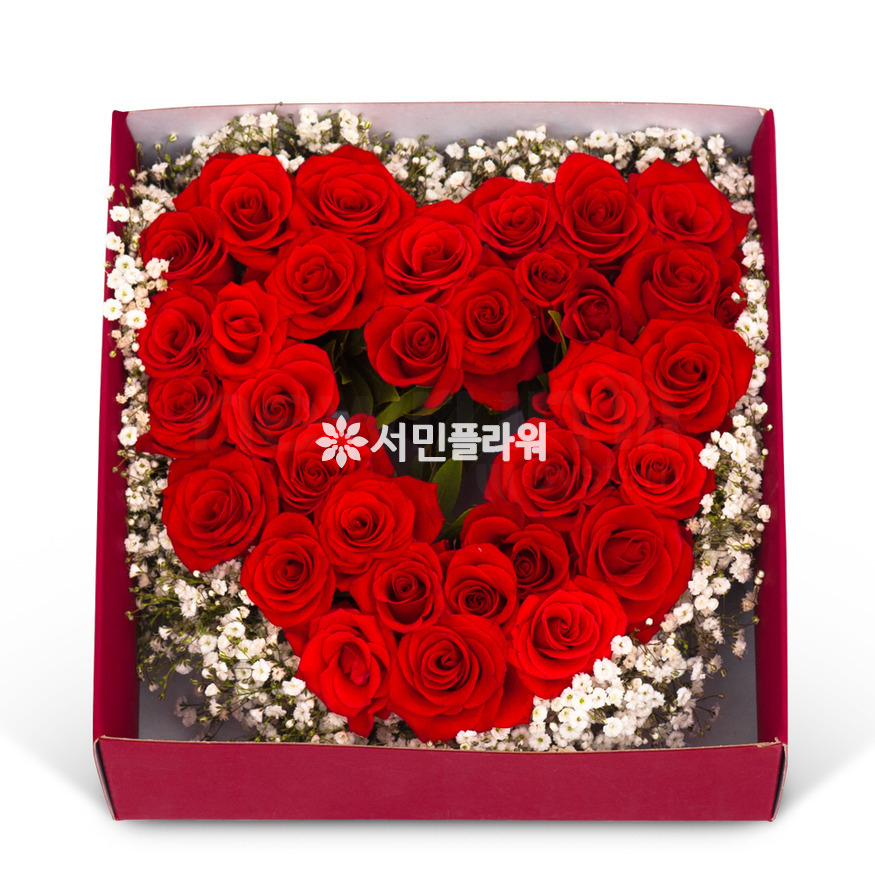 상세이미지