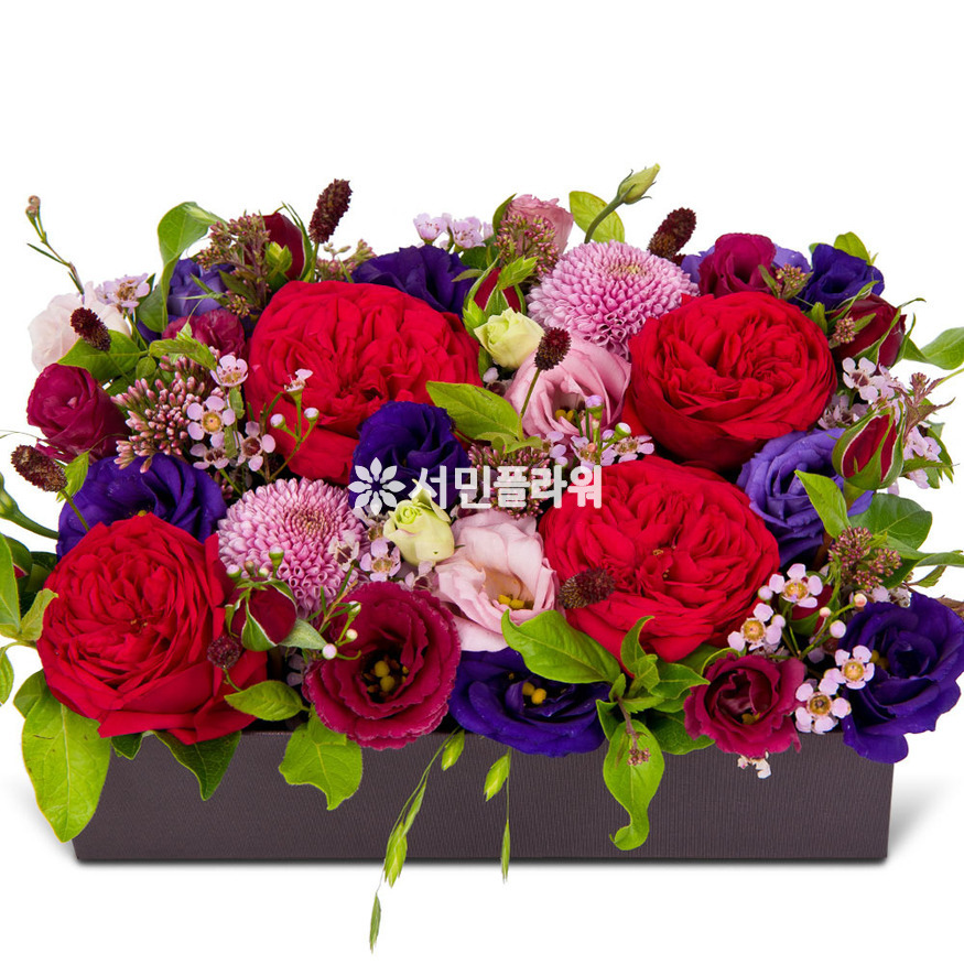 상세이미지