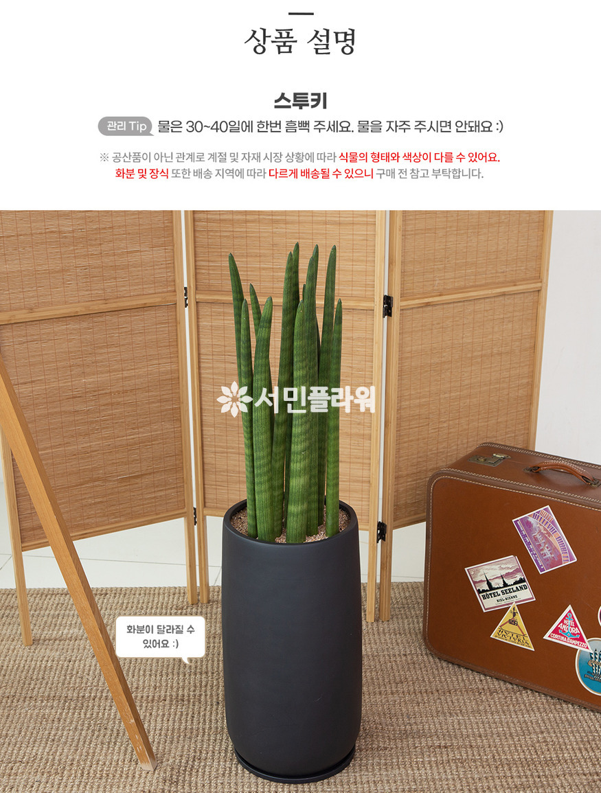 상세이미지