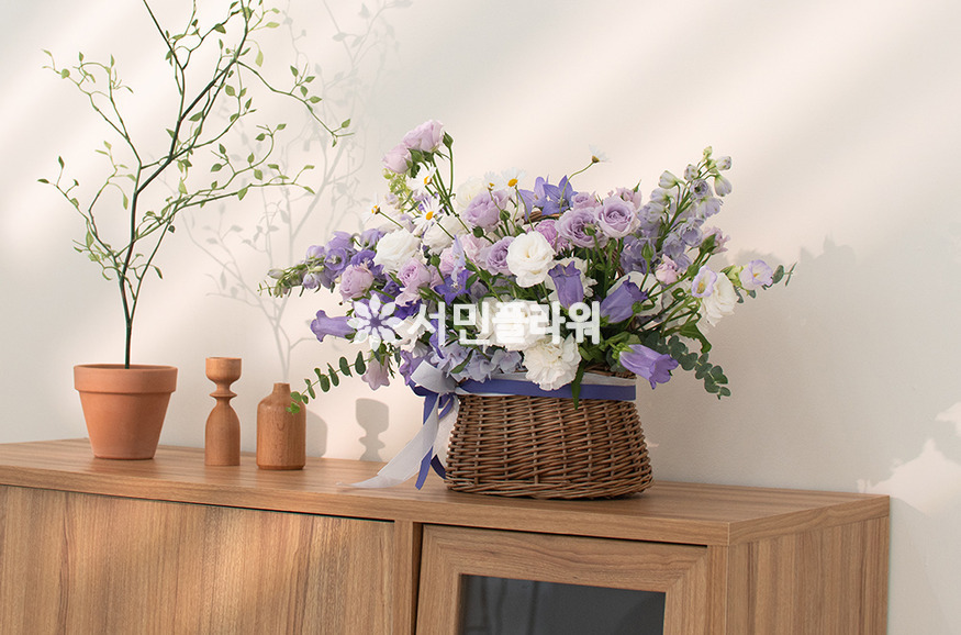 상세이미지