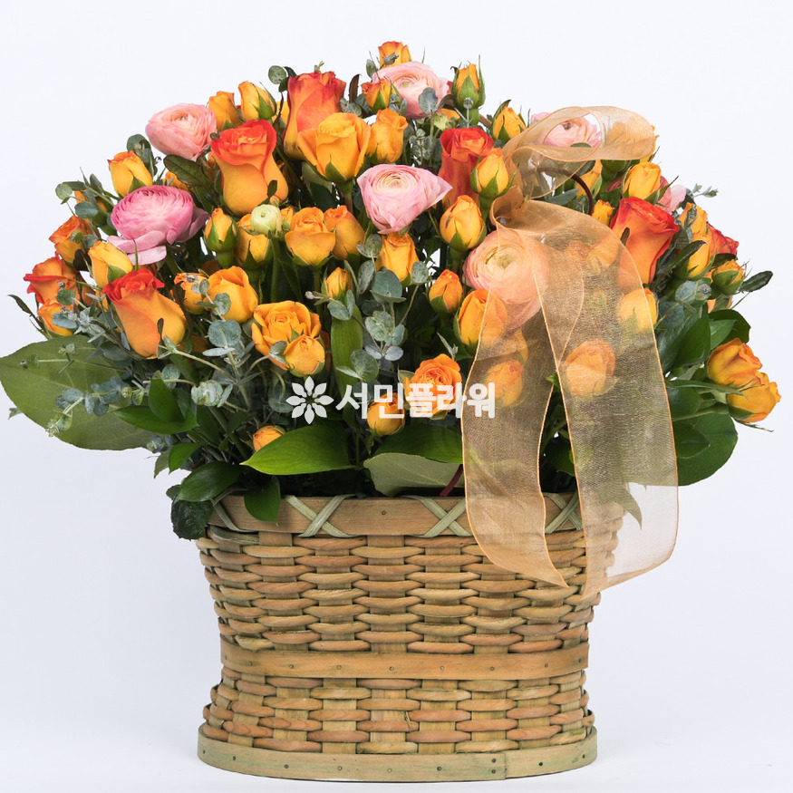 상세이미지