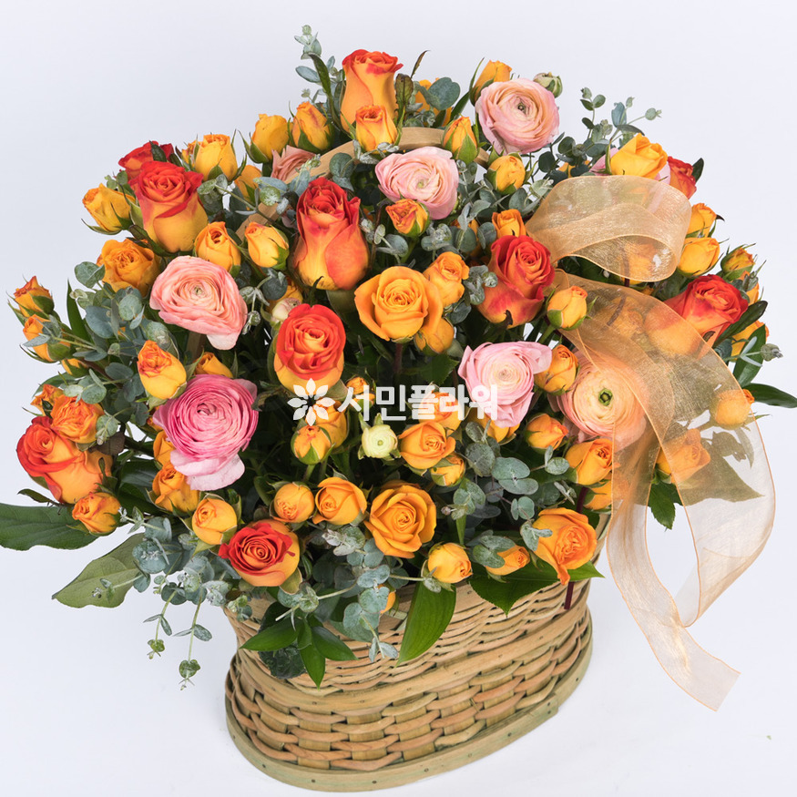 상세이미지