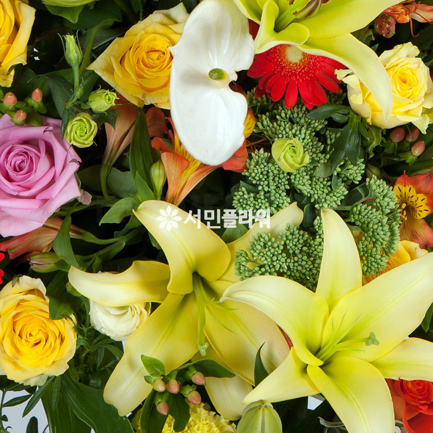 상세이미지