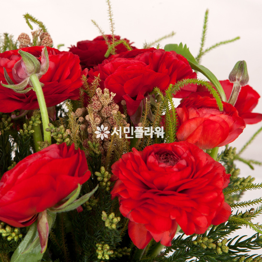 상세이미지