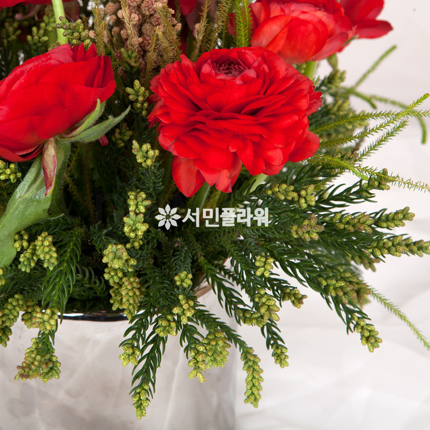상세이미지