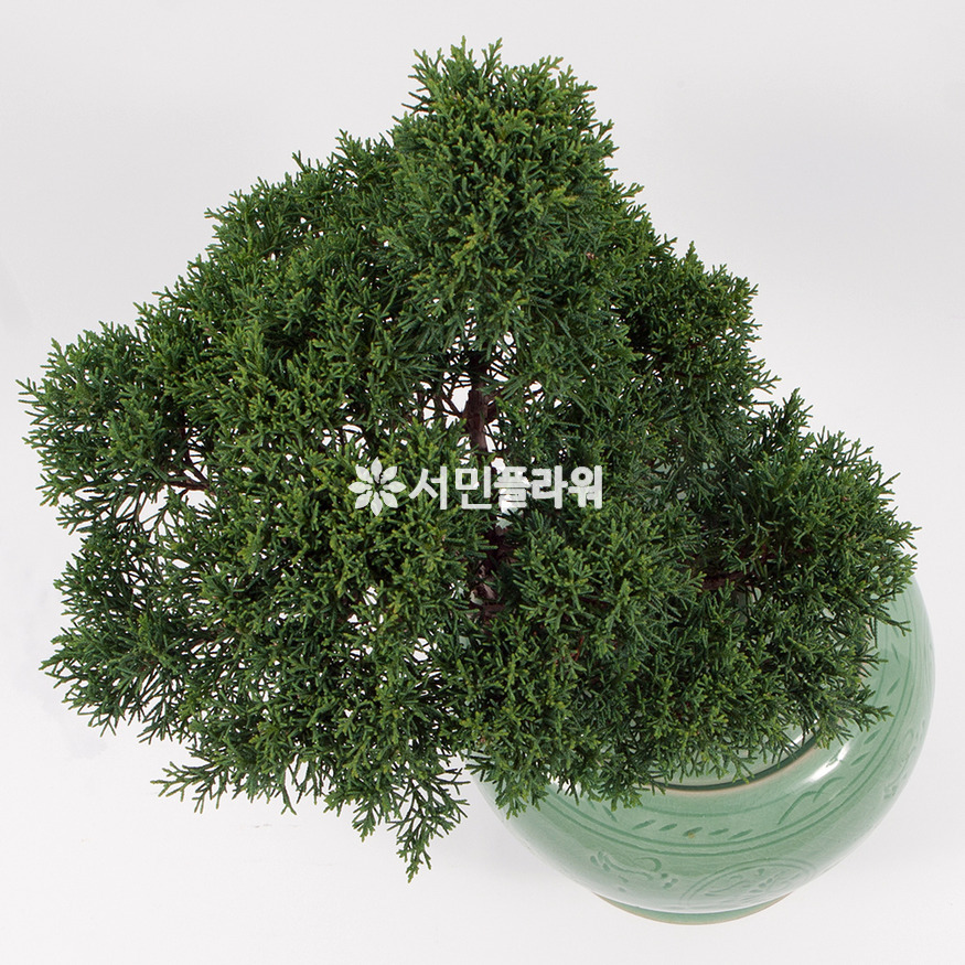 상세이미지
