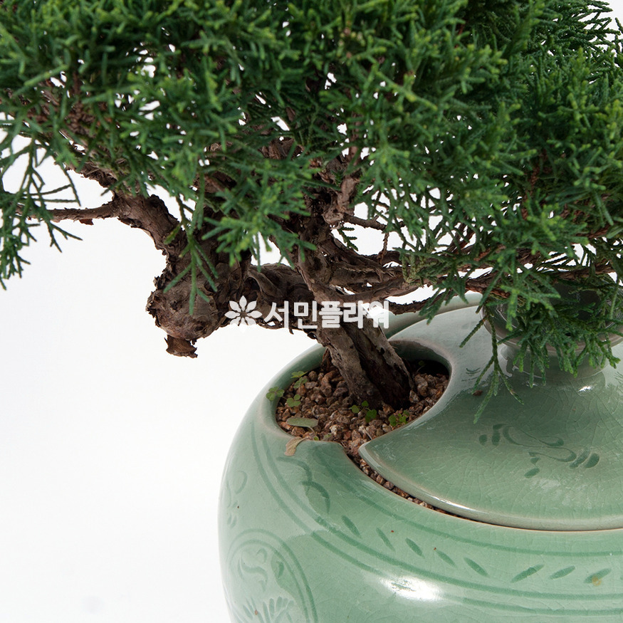상세이미지