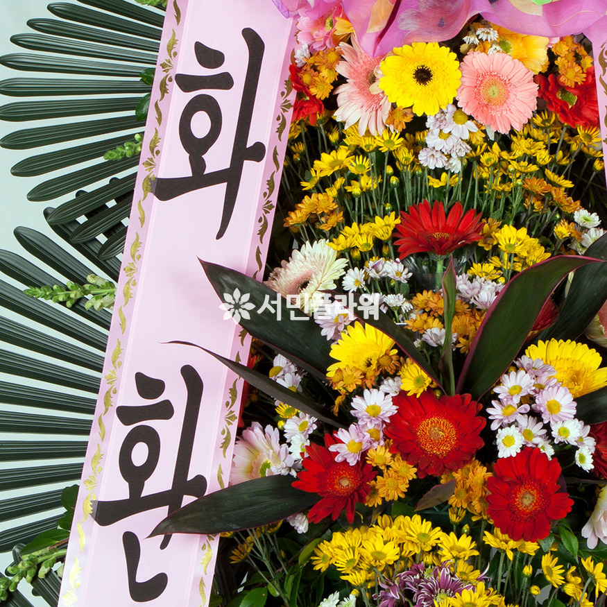 상세이미지
