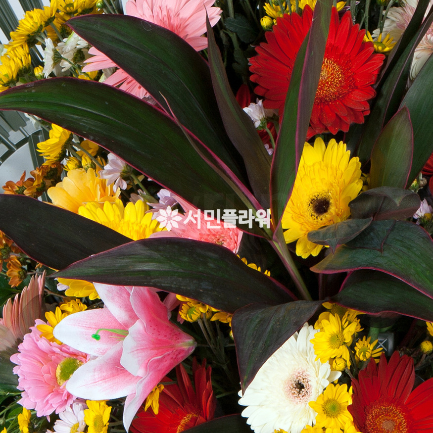 상세이미지