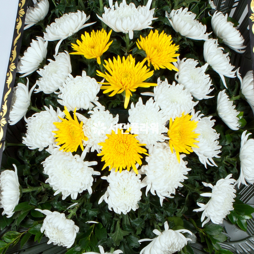 상세이미지