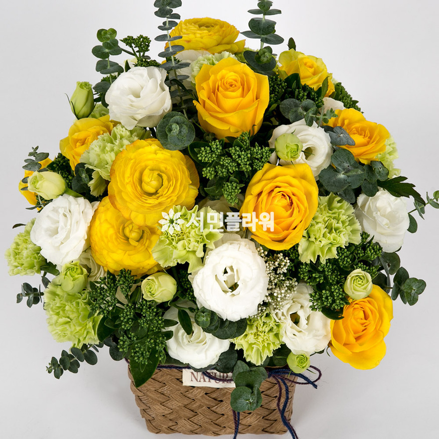 상세이미지