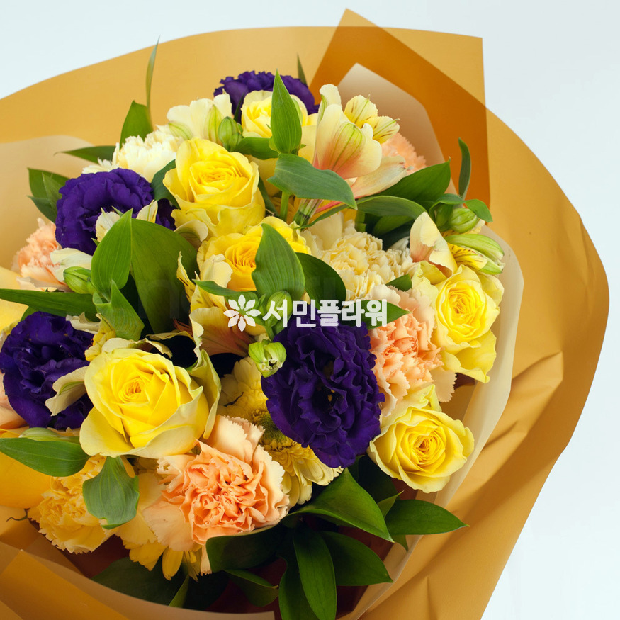 상세이미지