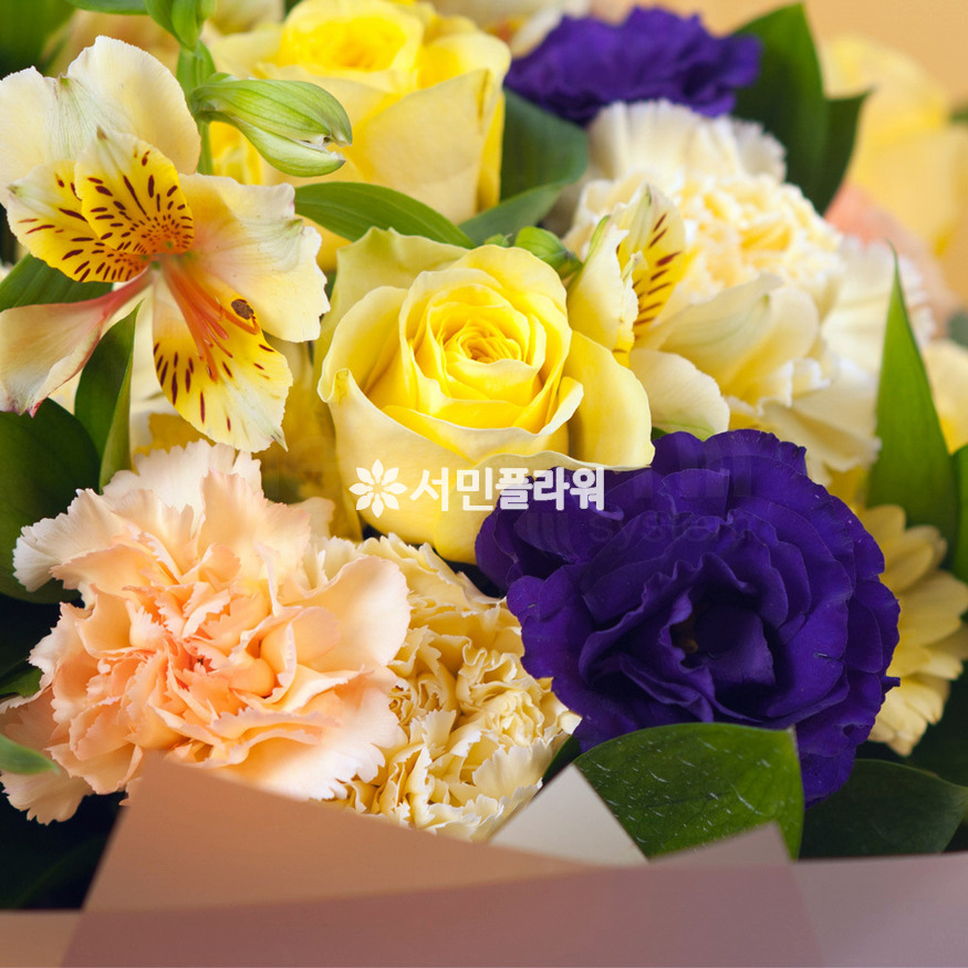 상세이미지