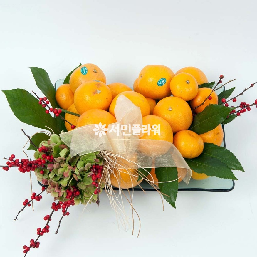 상세이미지