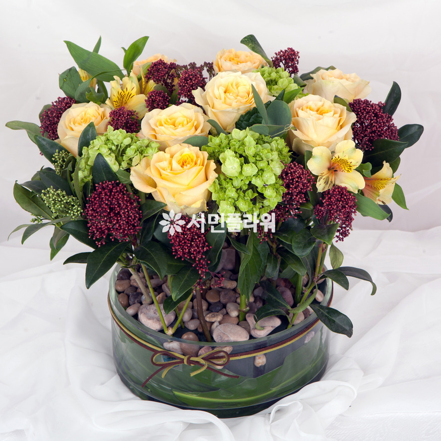 상세이미지