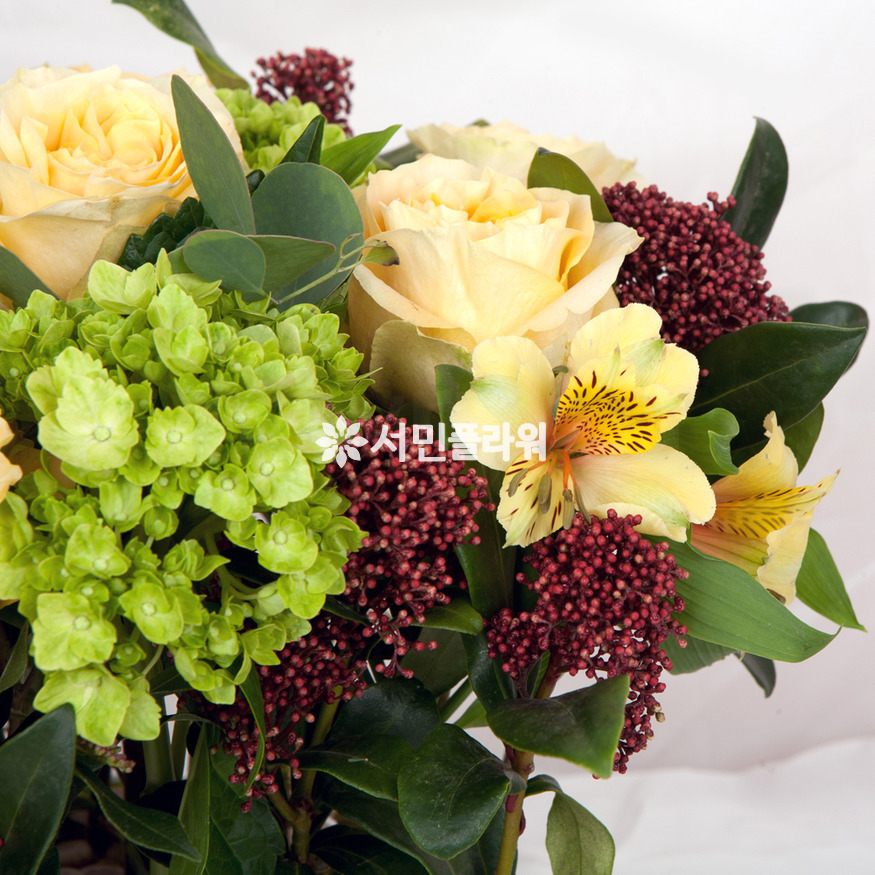 상세이미지