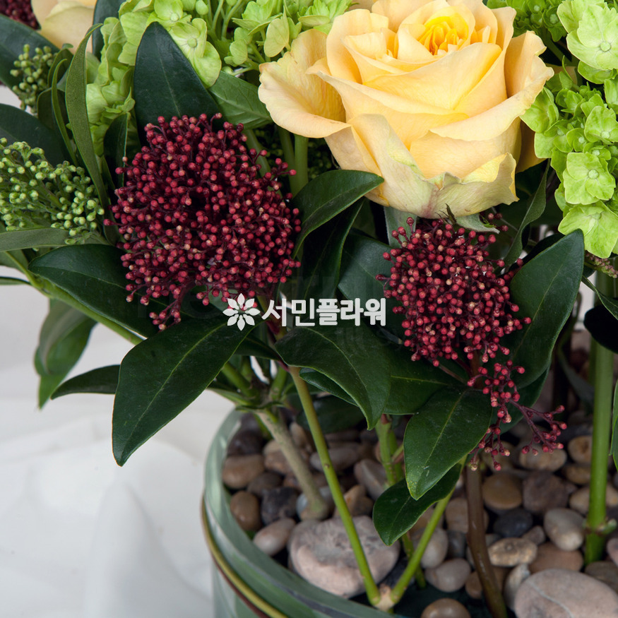 상세이미지