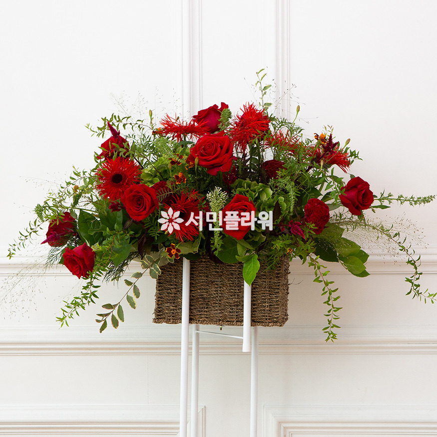 상세이미지