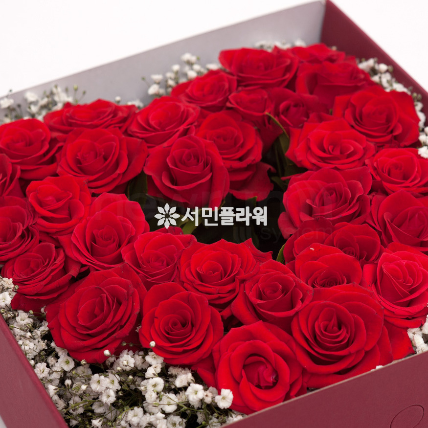 상세이미지