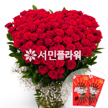 올인 100송이 빼빼로