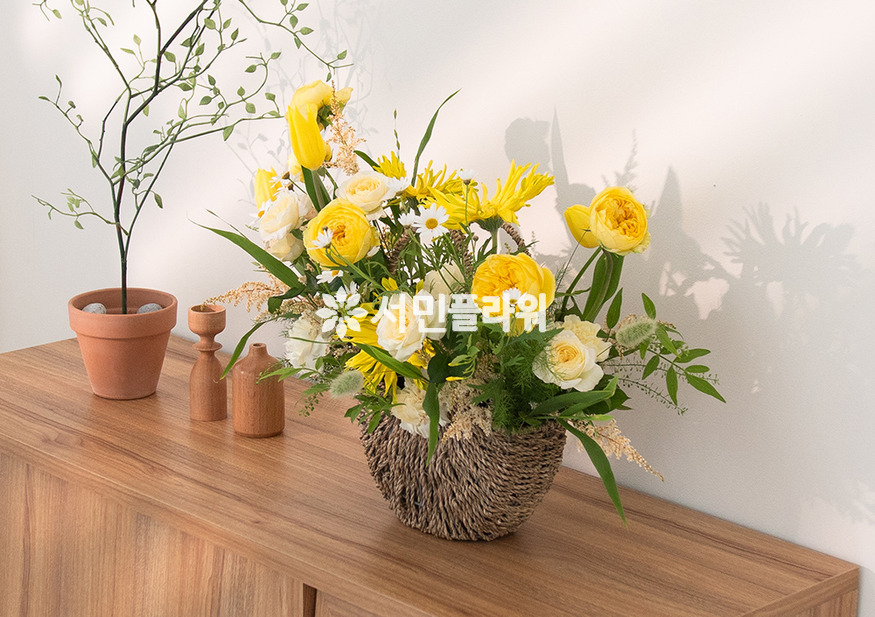상세이미지