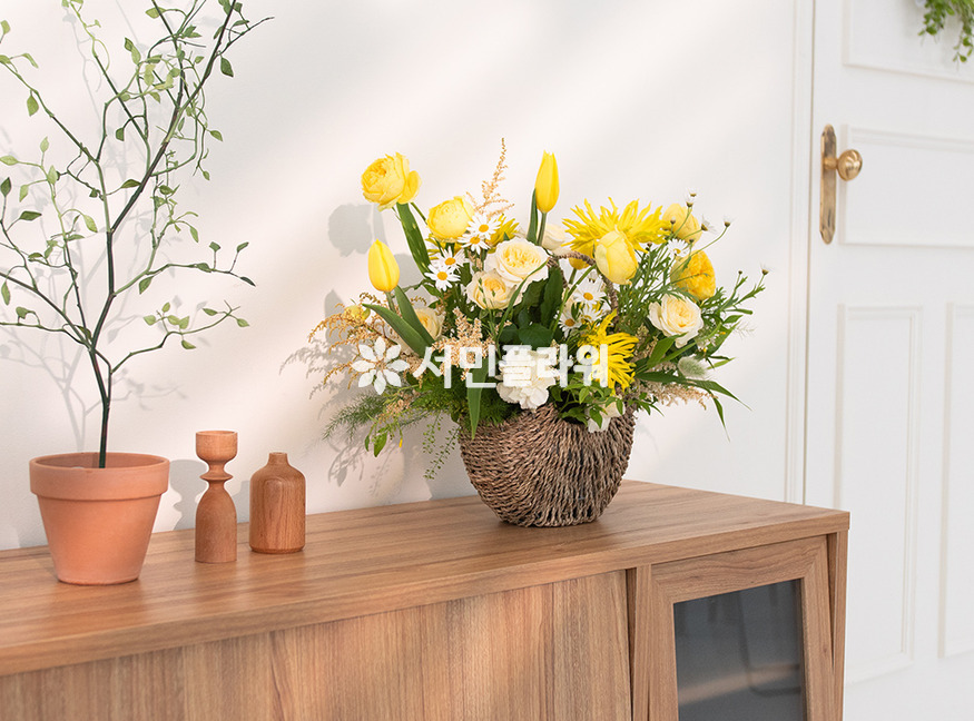 상세이미지