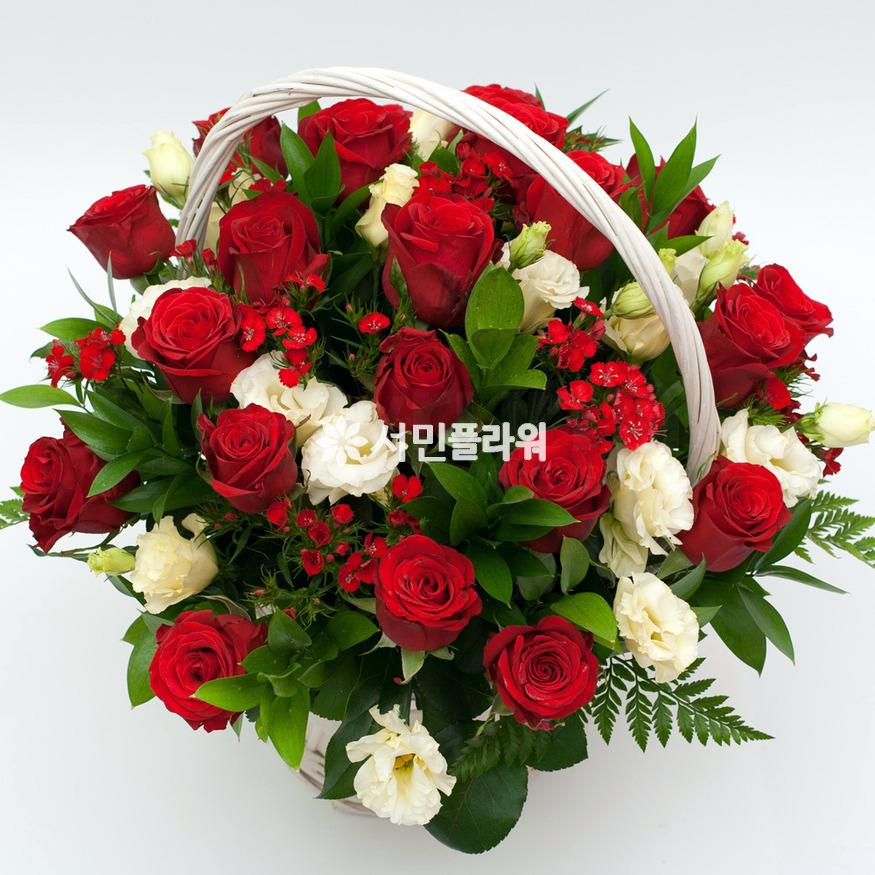 상세이미지