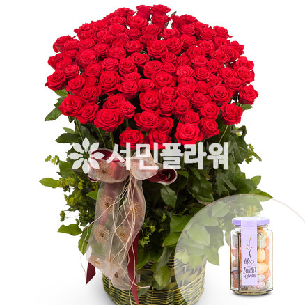 100송이장미(화이트데이+사탕)