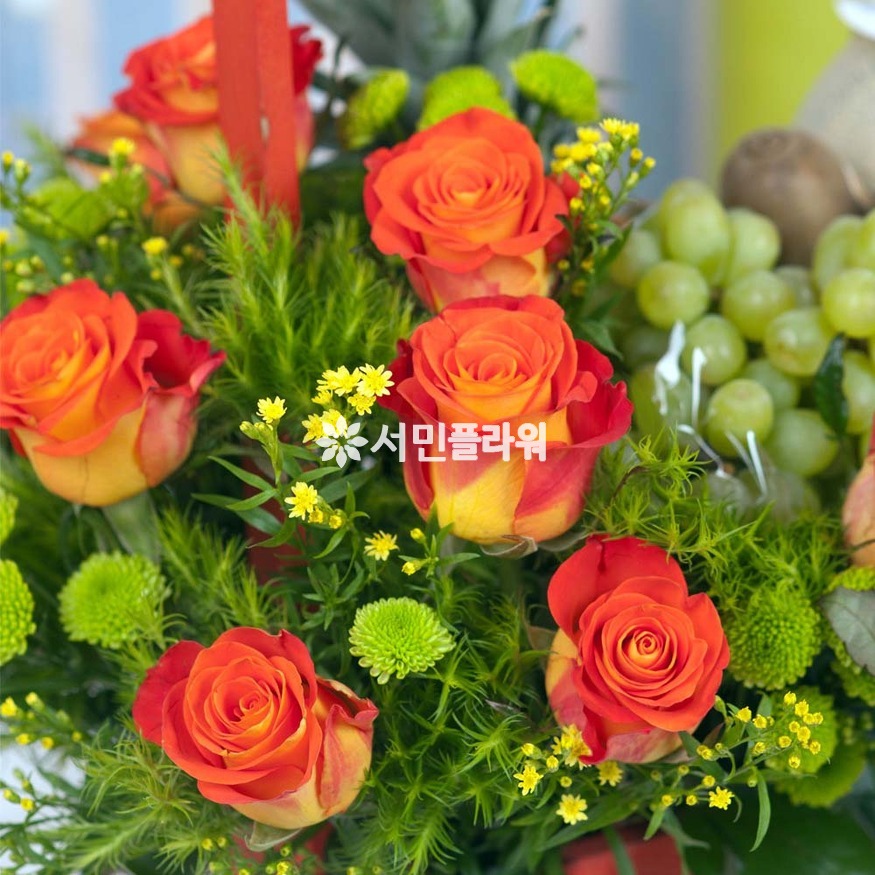 상세이미지