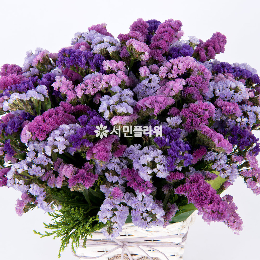 상세이미지