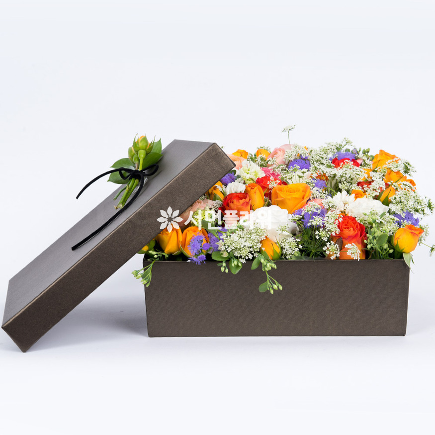 상세이미지